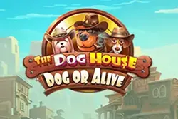 Bild des Slots The Dog House Dog or Alive